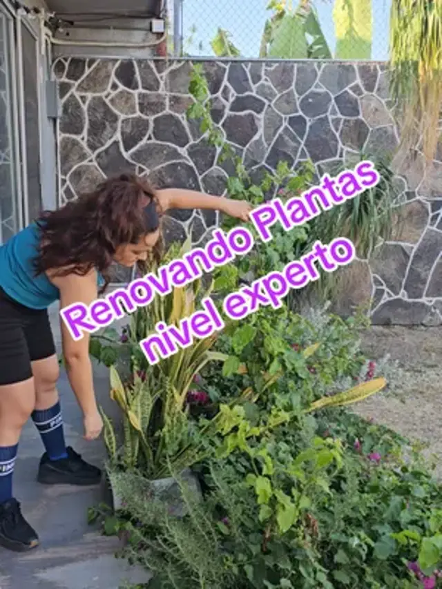 Cuida tu jardin desde cero conocimiento con estos tips #casa #jardin #plantas #home #homedepot 