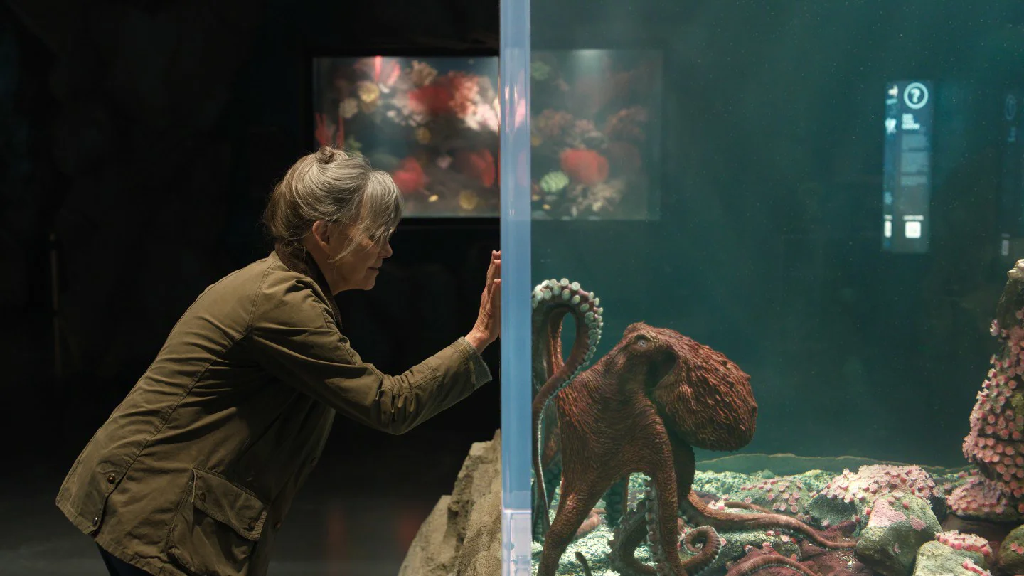 Críticas divididas para la adaptación de 'Remarkably Bright Creatures' en Netflix