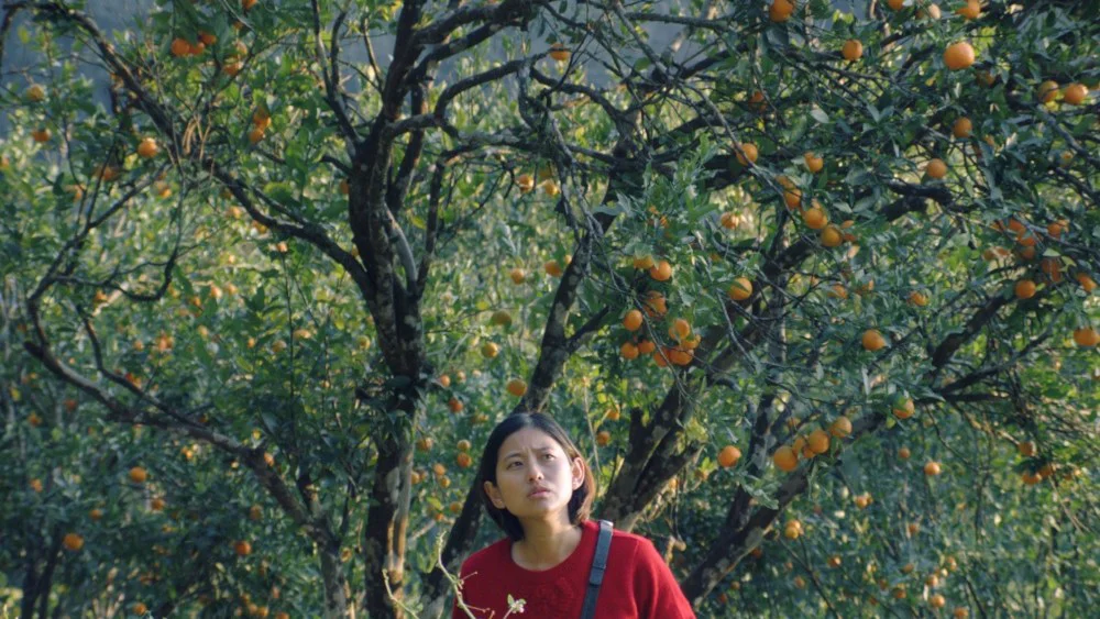 'Shape of Momo', ópera prima de Tribeny Rai, se estrenará en India y Nepal el 29 de mayo