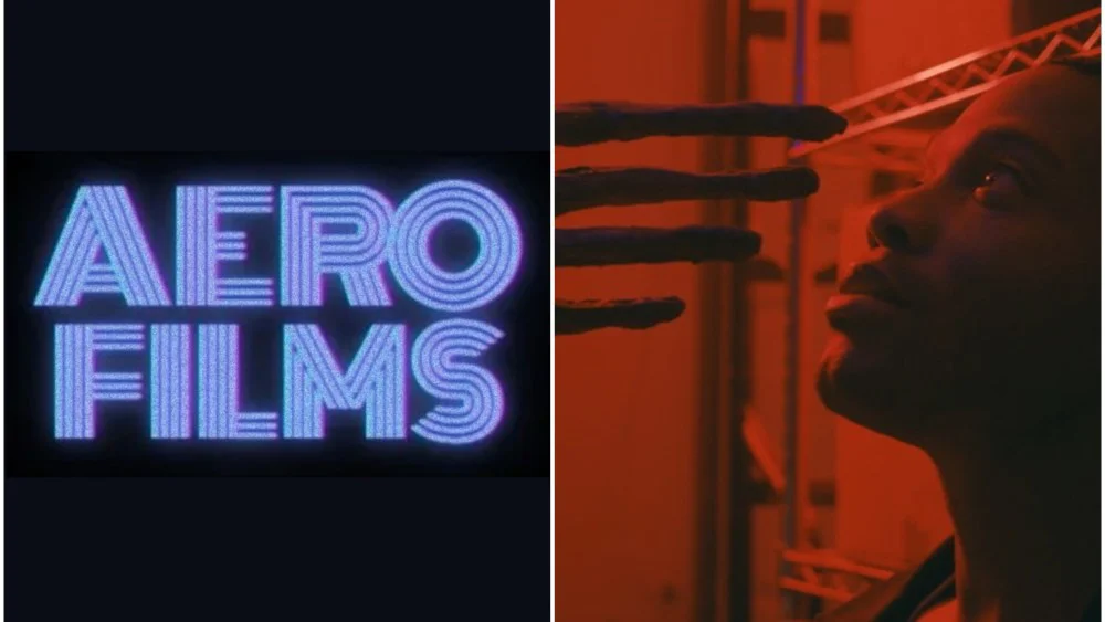 Aero Films estrena con la película 'Terrestrial' de Steve Pink