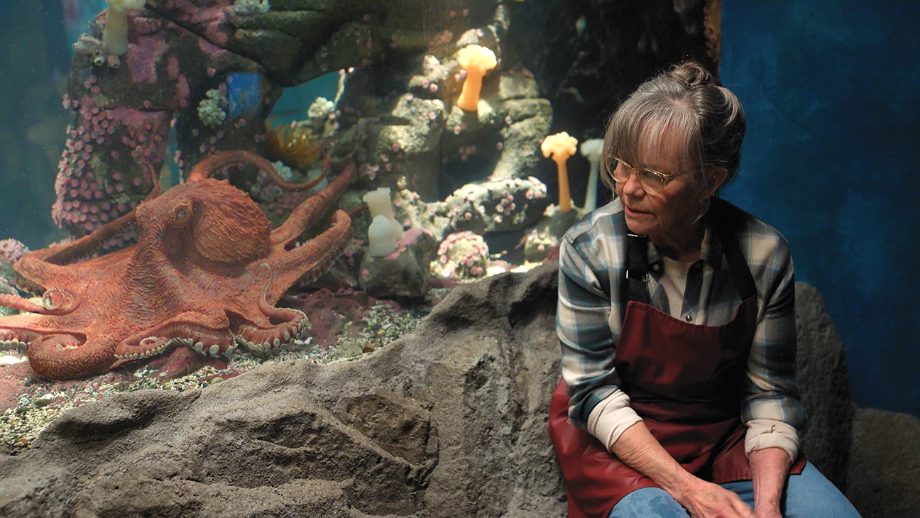 Sally Field recibe su décima nominación al Emmy por 'Remarkably Bright Creatures'