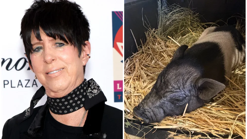 Diane Warren adopta a Wilbur, el cerdo fugitivo de West Hollywood
