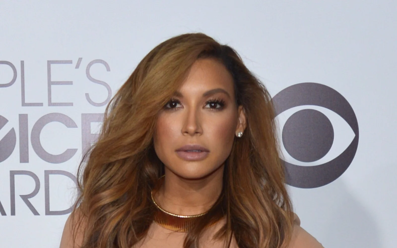 Josey Dorsey, hijo de Naya Rivera, debuta como actor a los 10 años en 'The Burning Valley'