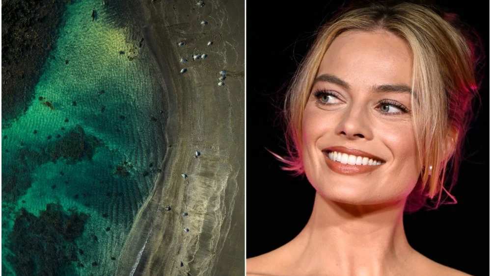 Margot Robbie narra 'Galapagos: The Last Eden', experiencia inmersiva que estrena en Venecia