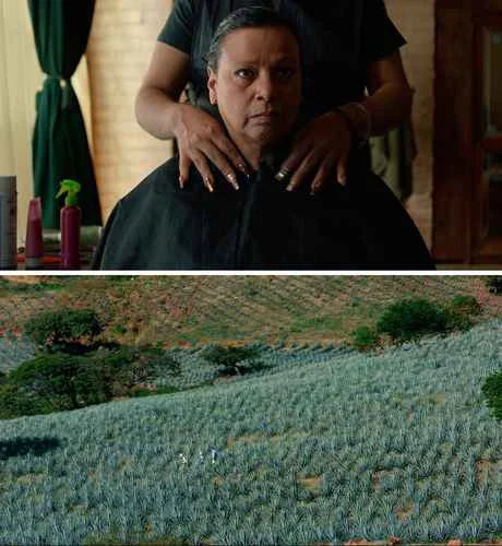 Teresita Sánchez estrena 'Dos estaciones' y denuncia el extractivismo en la industria del tequila