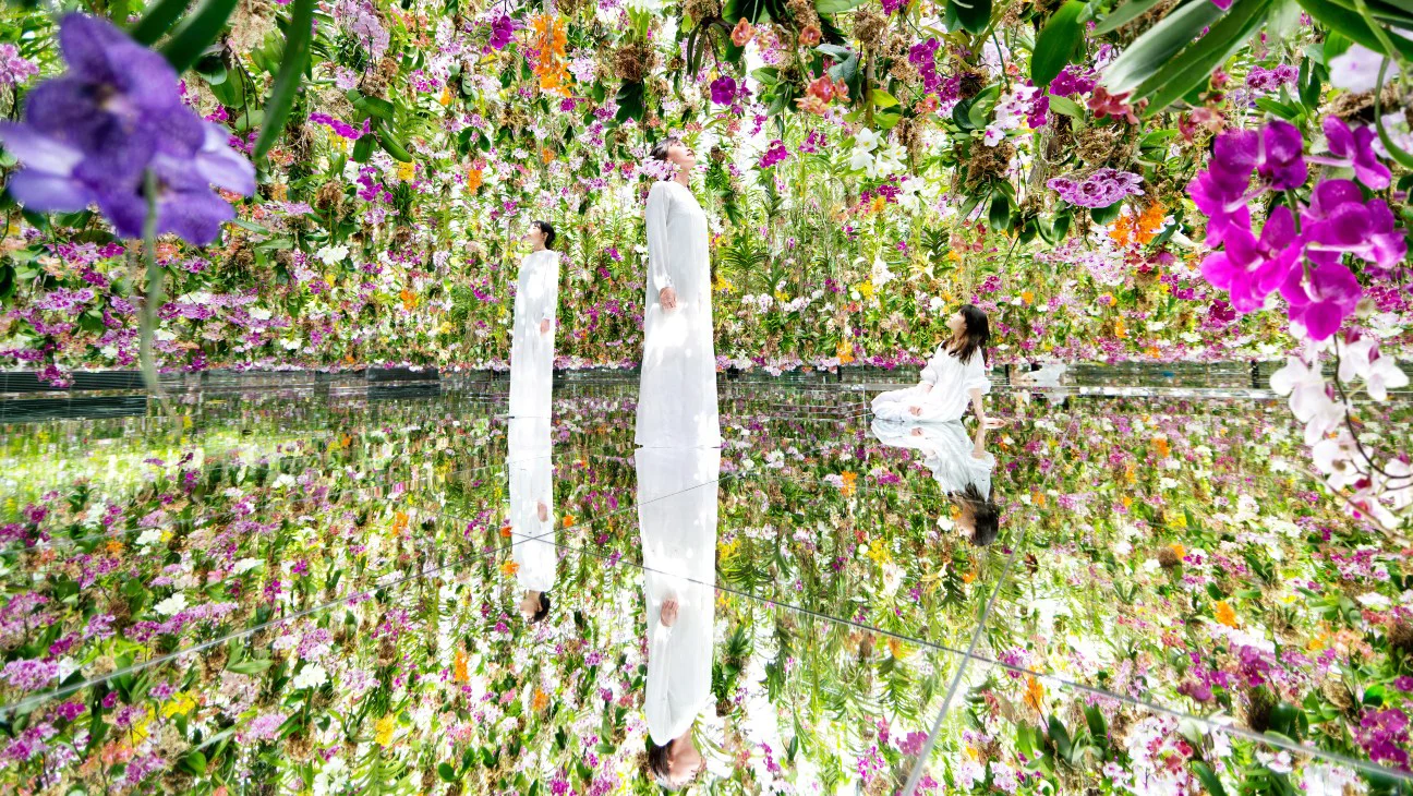 TeamLab abrirá su primer espacio permanente en EE.UU. en Anaheim para 2030